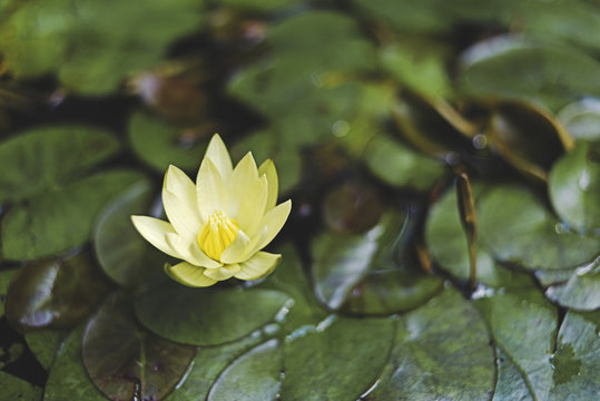 诸暨彩票最高中奖号码